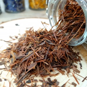 lapacho nature