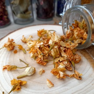 fleur de jasmin comestible