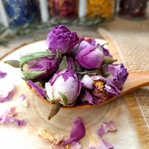 Boutons de rose Bio