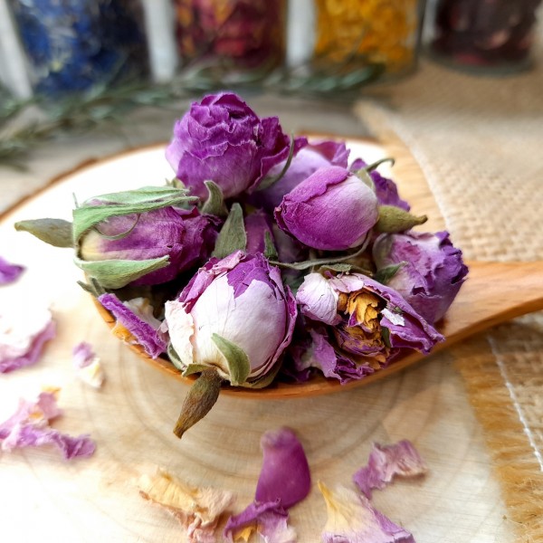 Boutons de rose Bio