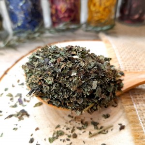 feuilles de mélisse officinale