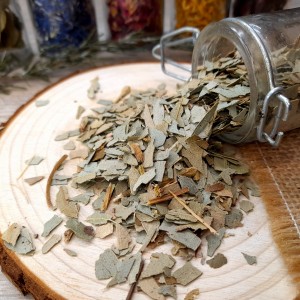 eucalyptus séché