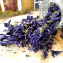 fleur de mauve séchée
