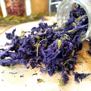 fleur de mauve séchée