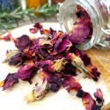 boutons et pétales de rose de damas