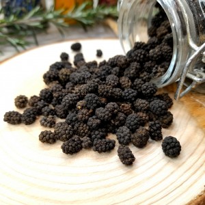poivre sauvage d'assam