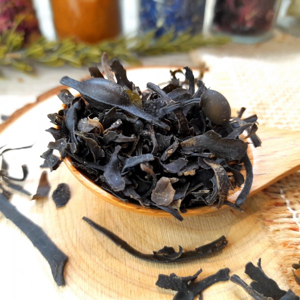 Fucus