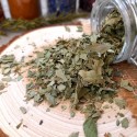 tisane aubépine