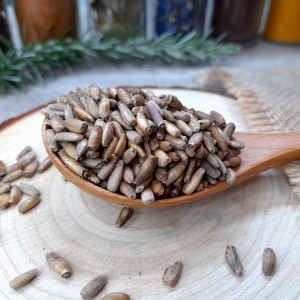 graines de chardon marie