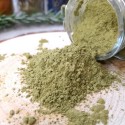 moringa en poudre