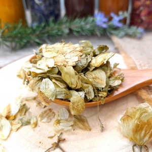 fleur de houblon