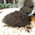 curry noir en poudre