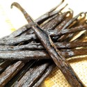 vanille bourbon de Madagascar