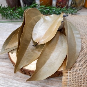 feuilles de cannelier