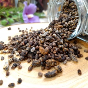graines cardamome bio