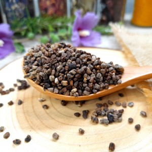 cardamome décortiquée bio