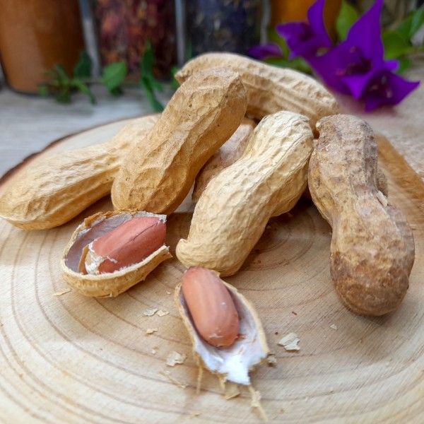 Cacahuètes coques Bio