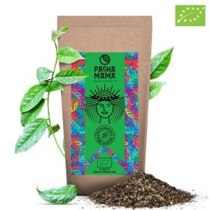 Guayusa bio