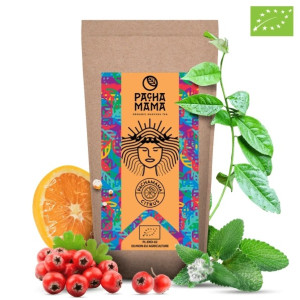 Guayusa citron bio