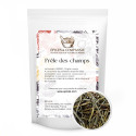 tisane de prêle médicinale