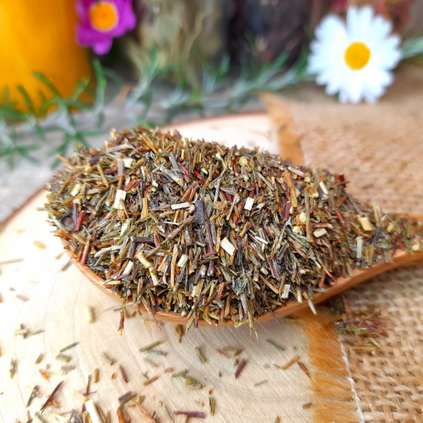 Rooibos vert Bio