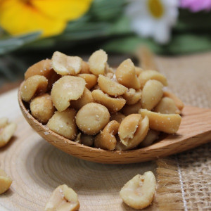 Cacahuètes grillées salées bio