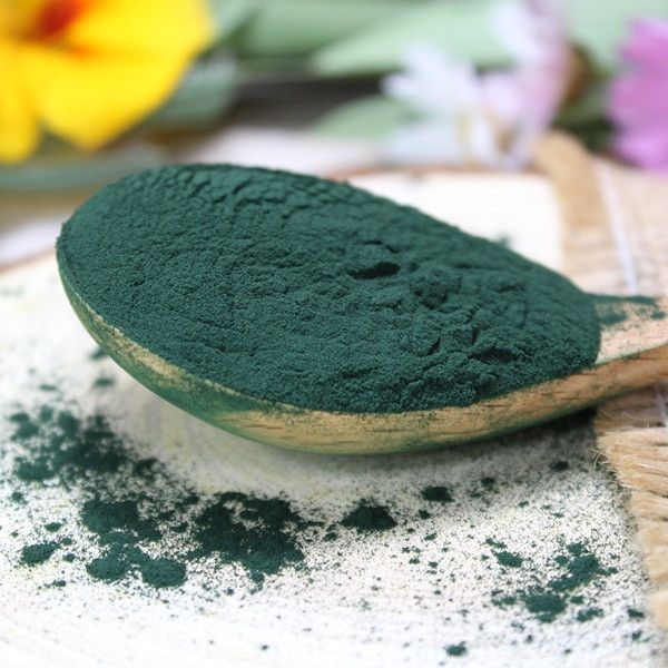 Spiruline en poudre