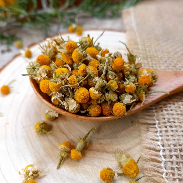 Camomille bio