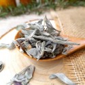 sauge officinale