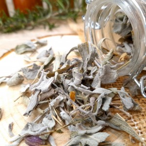 feuilles de sauge séchées