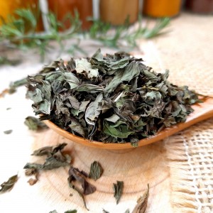 menthe verte