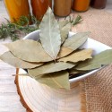 feuilles de laurier sauce séchées