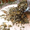 moringa séché