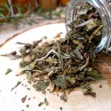 pissenlit pour tisane