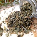 ortie pour tisane