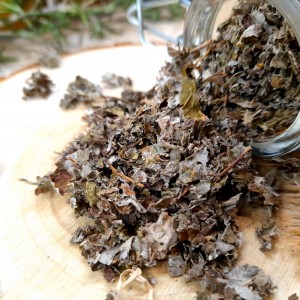 framboisier pour tisane