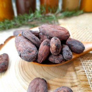 fèves de cacao bio