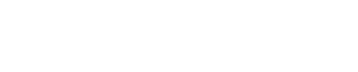 grossiste épices et herbes séchées