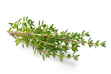 Branches de thym frais