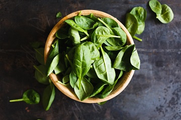Feuilles de basilic fraiches