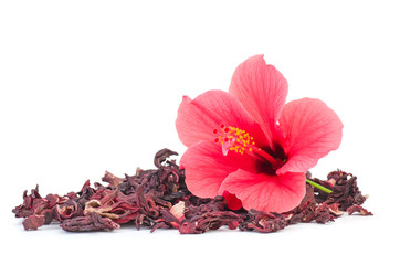 fleur hibiscus fraiche et séchée