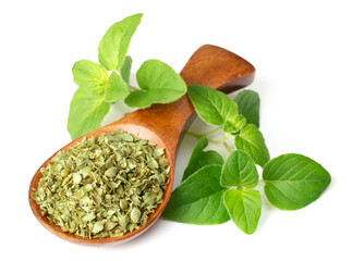 utilisation origan plante médicinale