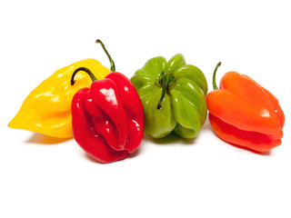 Piments antillais frais de couleurs