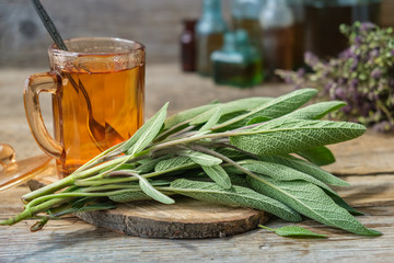 sauge médicinale infusion