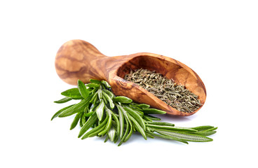 romarin séché et frais médicinal