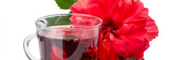 Tisane hibiscus