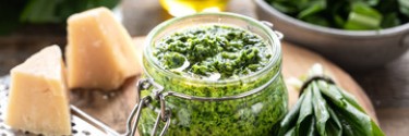 Pesto à l'ail des ours