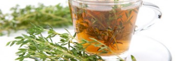 Tisane de thym