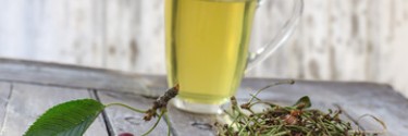 Tisane queue de cerise