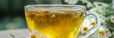 Tisane camomille